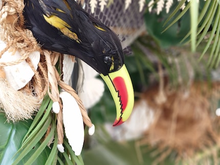 Le toucan et la corde sont bien mis en valeur par le bokeh. Le bec est cependant flou à son extrémité.