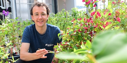 Silvan Bosshard avec son insecte utile préféré dans la main : la coccinelle Adalia.