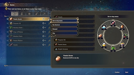 La navigation dans les menus n'est pas toujours évidente. Pour utiliser des objets en combat, par exemple, je dois d'abord les assigner dans le menu.