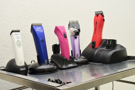 Cécile Riner’s selection of cat razors for all fur lengths and types.