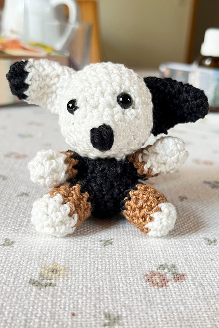 Et bientôt, le petit chien est prêt.