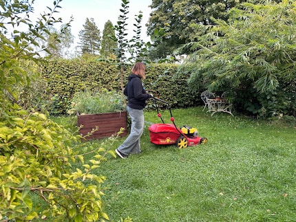 Doublement efficace : en tondant la pelouse, mon podomètre saute de joie et je ne repousse plus cette partie du jardinage.