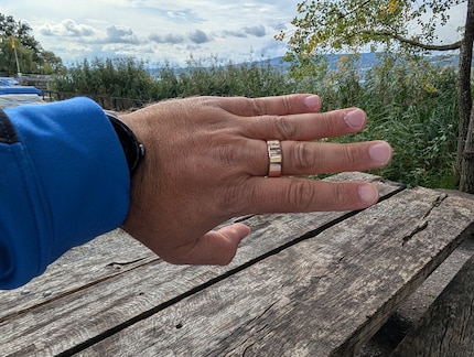 The ring doesn’t have a quite as high-quality look as other models.