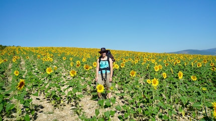 Some days it’s pure sunshine when hiking the Camino de Santiago.