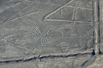 Cette araignée déjà connue et bien visible mesure environ 45 mètres de long.