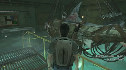 Un requin de la station de l’Hydre, dingue !