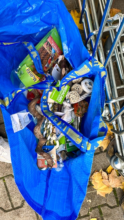 Je me suis un tout petit peu lâchée sur les achats.