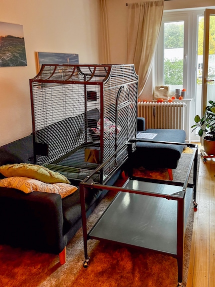 La cage est constituée de la volière à proprement parler et d’un chariot à roulettes avec une étagère pour la nourriture, le sable et les autres accessoires.