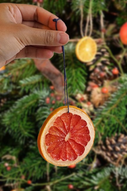  ... et un pamplemousse séché dans le sapin de Noël.