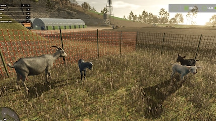 Les nouveaux chevreaux aiment sautiller.