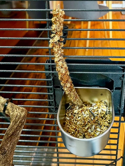 Pour éviter les disputes, j’ai mis deux gamelles dans la cage de mes calos.