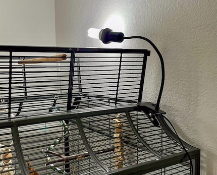 Ma lampe pour oiseaux est bricolée maison, car la cage s’ouvre par le haut et j’ai besoin d’une solution flexible. La plupart des lampes pour oiseaux conventionnelles sont fixées sur le toit de la cage.