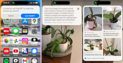 VI reconnaît les plantes, donne des conseils sur leur entretien et m’indique où je peux les acheter.