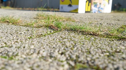 Avant : l’herbe pousse effrontément au travers des joints.