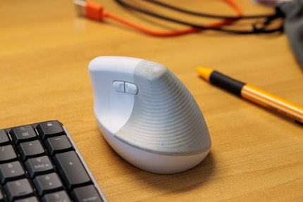 This mouse used to be white.