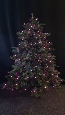 You can also make your tree flicker in pink.