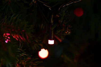 Thanks to their simple appearance, the lights can continue sparkling even after Christmas.