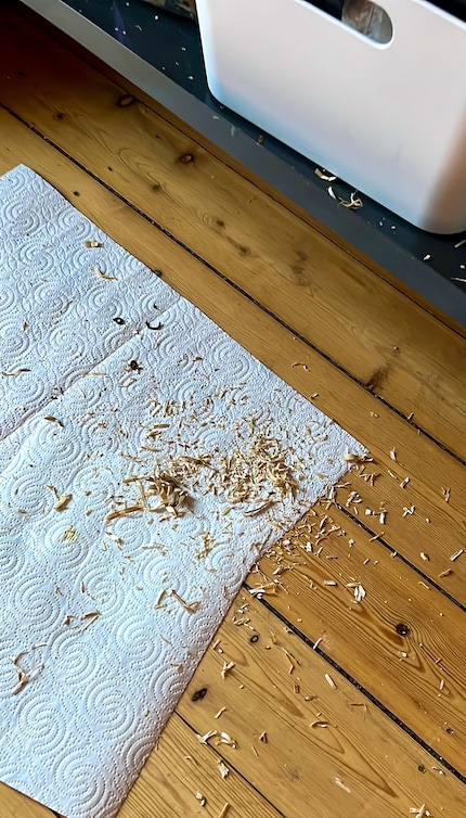 Les débris laissés par les perruches.