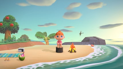 J’adorerais qu’un nouveau « Animal Crossing » m’accompagne un bon moment sur Switch 2.
