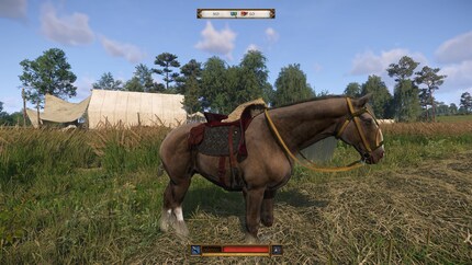 Your steed can double as a packhorse. However, a heavy saddle is a disadvantage in races.