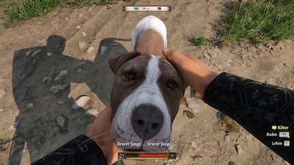 Mutt is a loyal companion, but you’ll have to find him first.