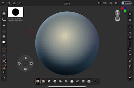 Un projet sur ZBrush sur l'iPad. Clair et non surchargé.