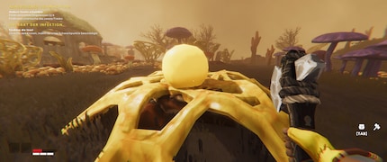 The sickly plant must be destroyed in order to restore the ecosystem.