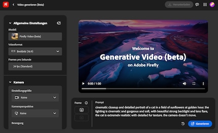 This is what the web video generator looks like.