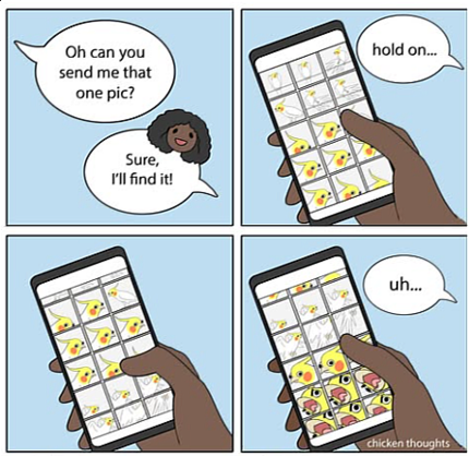The photo collection in the comic…