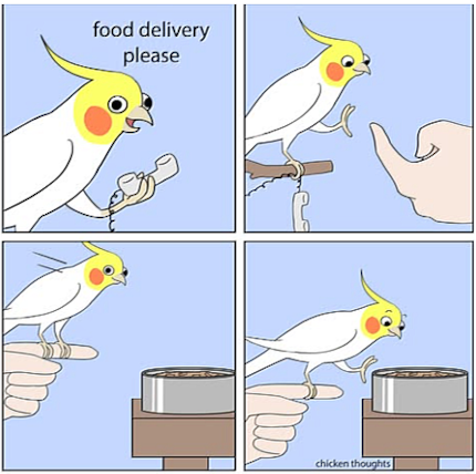 In the comic, Chicken, as the author affectionately calls her cockatiel, rings his owner.