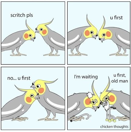 The cockatiel on the left wants a scratch. Unfortunately, he doesn’t get very far with it.