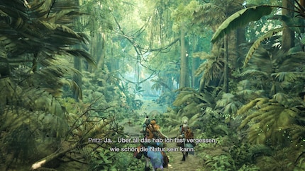 Graphiquement, «Monster Hunter Wilds» se distingue surtout par ses magnifiques zones et ses monstres géants.