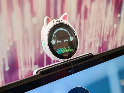 A gimmick: This mini screen gives the AI a face with emojis and recognises gestures.