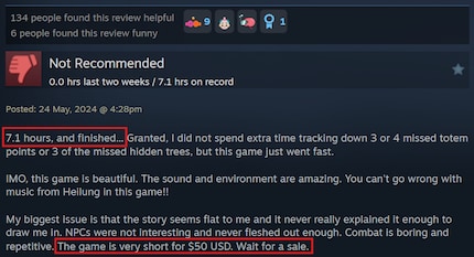 Critique Steam de « Senua’s Saga : Hellblade II » 