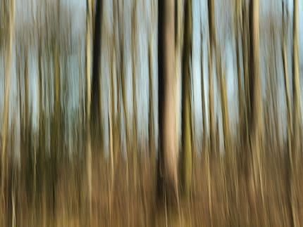 An inbuilt optical ND filter enables long exposures in daylight. But without image stabilisation, you can only use it handheld for creative blurring at best.