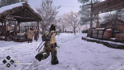 Même pas froid. Yasuke est même capable de nager en plein hiver.