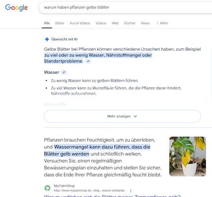 Résultat de la recherche pour une requête sur l'entretien des plantes : le résumé de l'IA est affiché en haut et les résultats de recherche normaux avec les sites Web pertinents sont affichés en dessous.