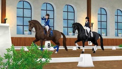 Star Stable doit maintenant agir si l’entreprise ne veut pas risquer une sanction.