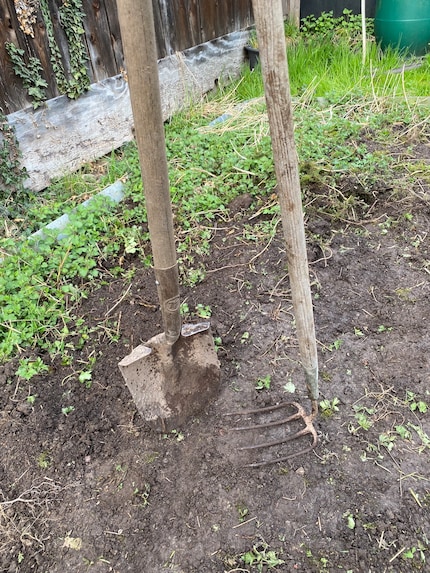 Bitch, jag, shovel and hoe.