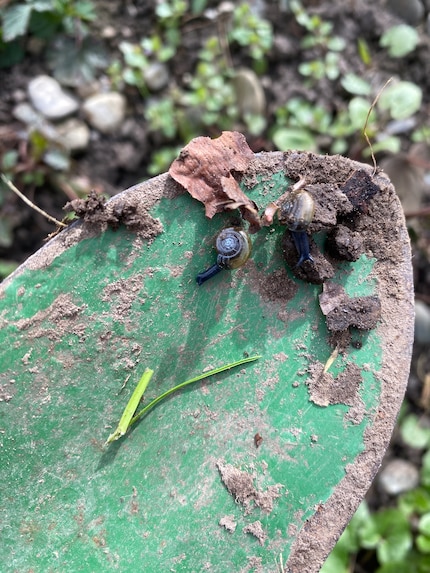 The little wonders of nature.