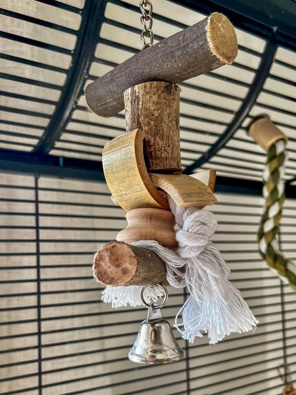This bell toy hangs lonely and alone in the cage. I think I'll throw it away soon - or at least remove the bell.