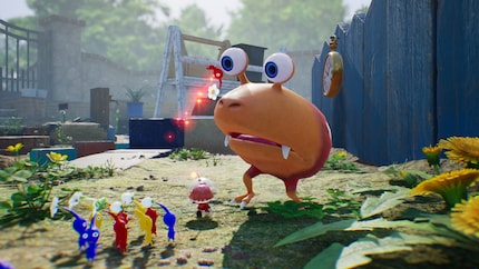 Le jeu est superbe, et pas seulement pour la Switch.