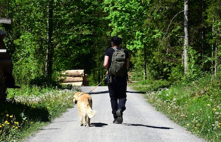 Il fait une chaleur étouffante sous le soleil. Livia et Kaya se dirigent tout droit vers la forêt.