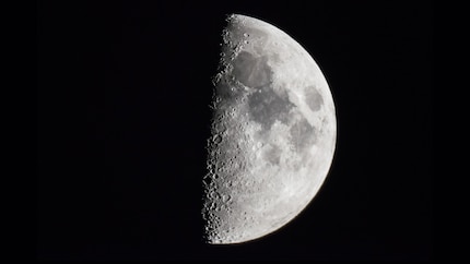Pour comparer, regardez à travers le NexStar 6SE, plus cher et plus stable : ce cliché a été pris avec un Google Pixel 3.