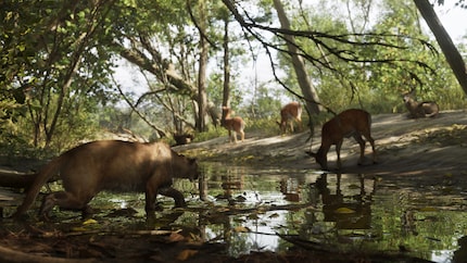 La nature sauvage rappelle « Red Dead Redemption ».