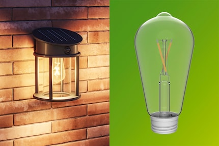Seule l'ampoule LED spéciale ST64 s'adapte aux luminaires.
