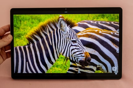 Les vidéos sont magnifiques sur l'écran LCD et le son est très bon.