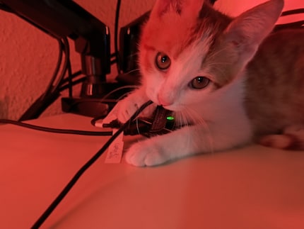 I see what you’re doing, Bonnie!