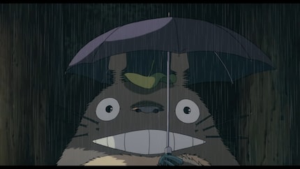 Totoro is wonderfully grumpy, loving and magical.