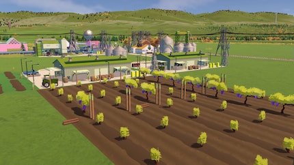 This is where my quality grapes grow. Unfortunately, they don’t grow all year round. How do I deal with that?